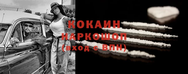 ПСИЛОЦИБИНОВЫЕ ГРИБЫ Абаза
