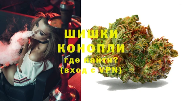 ПСИЛОЦИБИНОВЫЕ ГРИБЫ Абаза